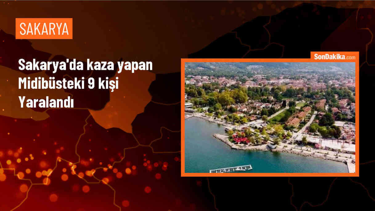 Geyve\'de Midibüs Kazası: 9 Yaralı