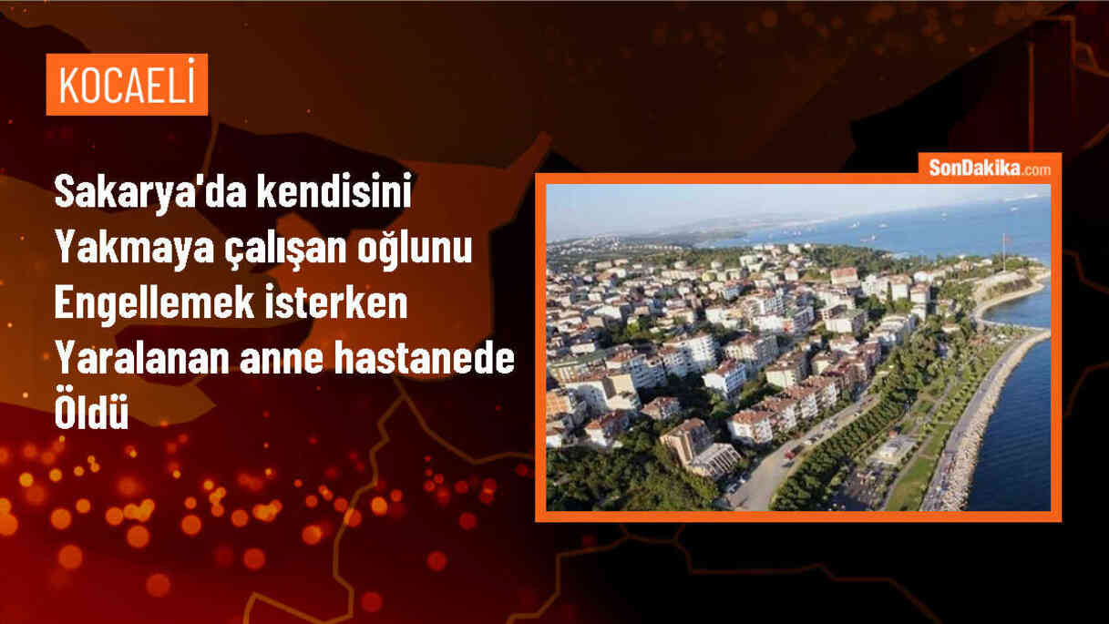 Akyazı\'da kendisini yakmaya çalışan oğlunu engellemeye çalışırken yaralanan anne hayatını kaybetti