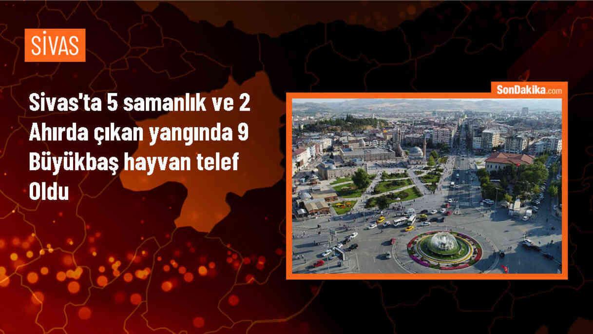 Sivas\'ın Suşehri ilçesinde çıkan yangında 5 samanlık ve 2 ahır kullanılamaz hale geldi, 9 büyükbaş hayvan telef oldu