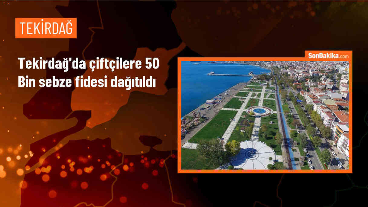Tekirdağ\'da \'Sebzecilik Artsın, Üreticilerin Yüzü Gülsün\' Projesi kapsamında 50 bin 400 sebze fidesi dağıtıldı