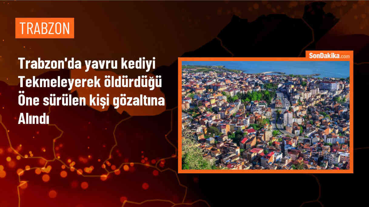 Trabzon\'da yavru kedi tekmeleyerek öldüren şüpheli gözaltına alındı