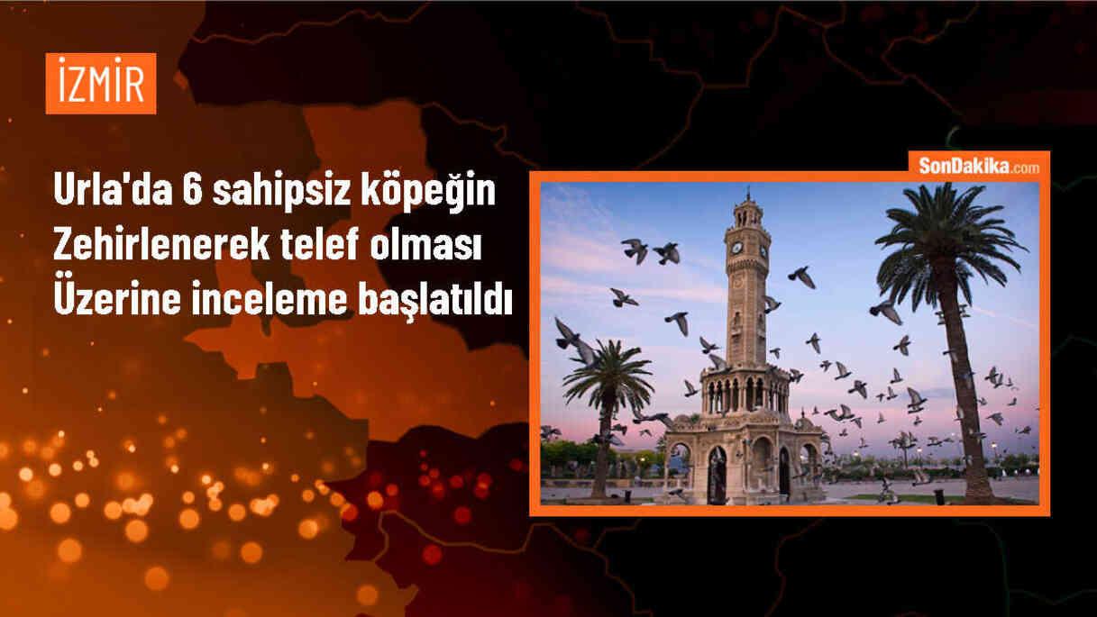 Urla\'da 6 sahipsiz köpek zehirlenerek telef oldu