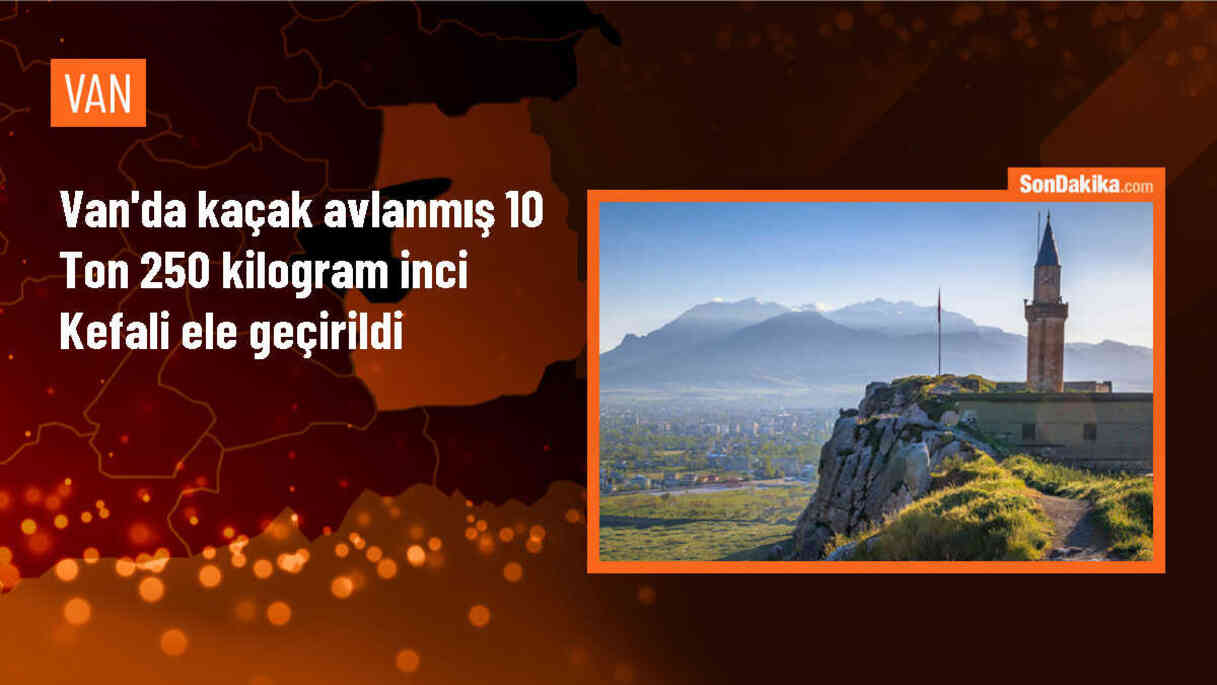 Van\'da Kaçak Avlanmış 10 Ton 250 Kilogram İnci Kefali Ele Geçirildi