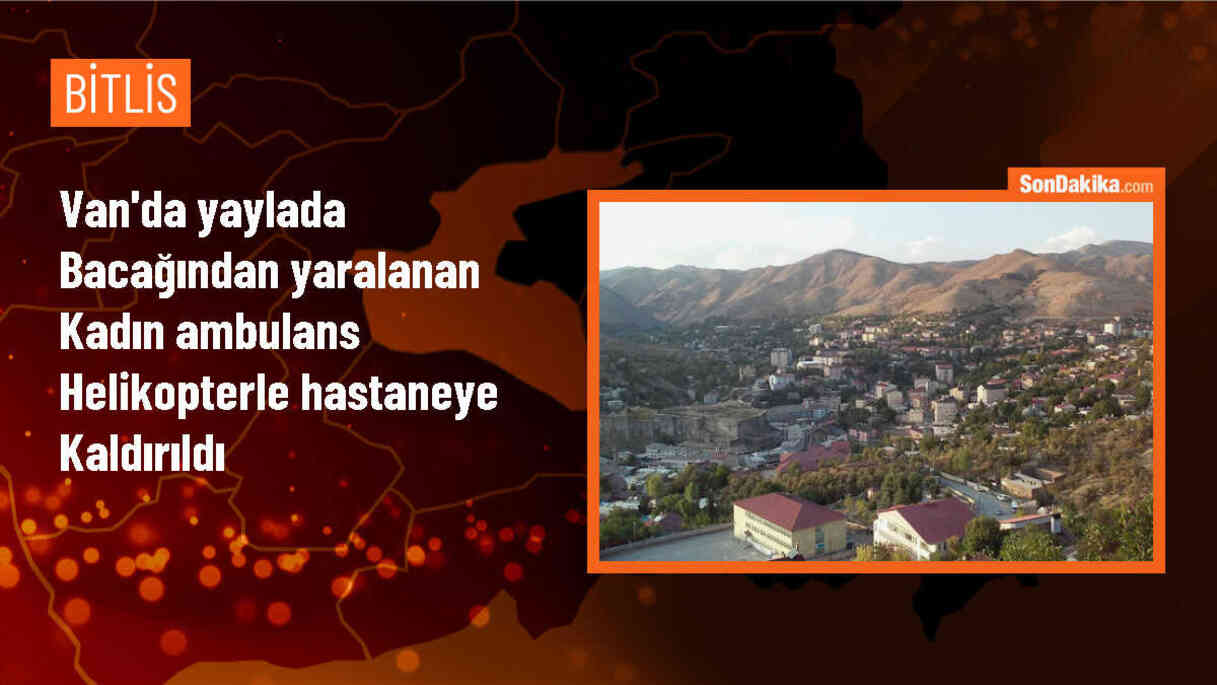 Van\'ın Bahçesaray ilçesinde ot toplarken düşen kadın ambulans helikopterle hastaneye kaldırıldı