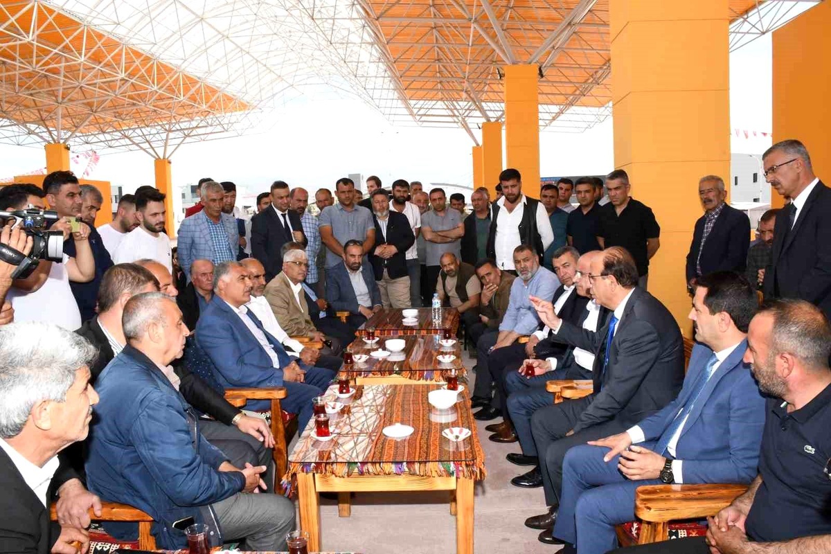 Malatya Kayısısı için yeni sezon hazırlıkları başladı