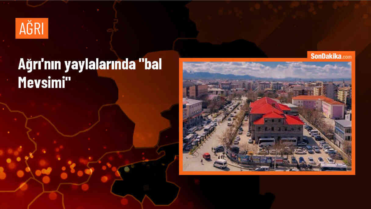 Ağrı\'da Gezgin Arıcılar Kaliteli Bal Üretmek İçin Mesailerine Başladı
