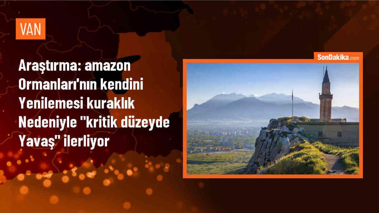 Belçika\'da yapılan araştırma, Amazon Ormanları\'nın kendini yenileme sürecinin kuraklık kaynaklı olarak yavaşladığını ortaya koydu