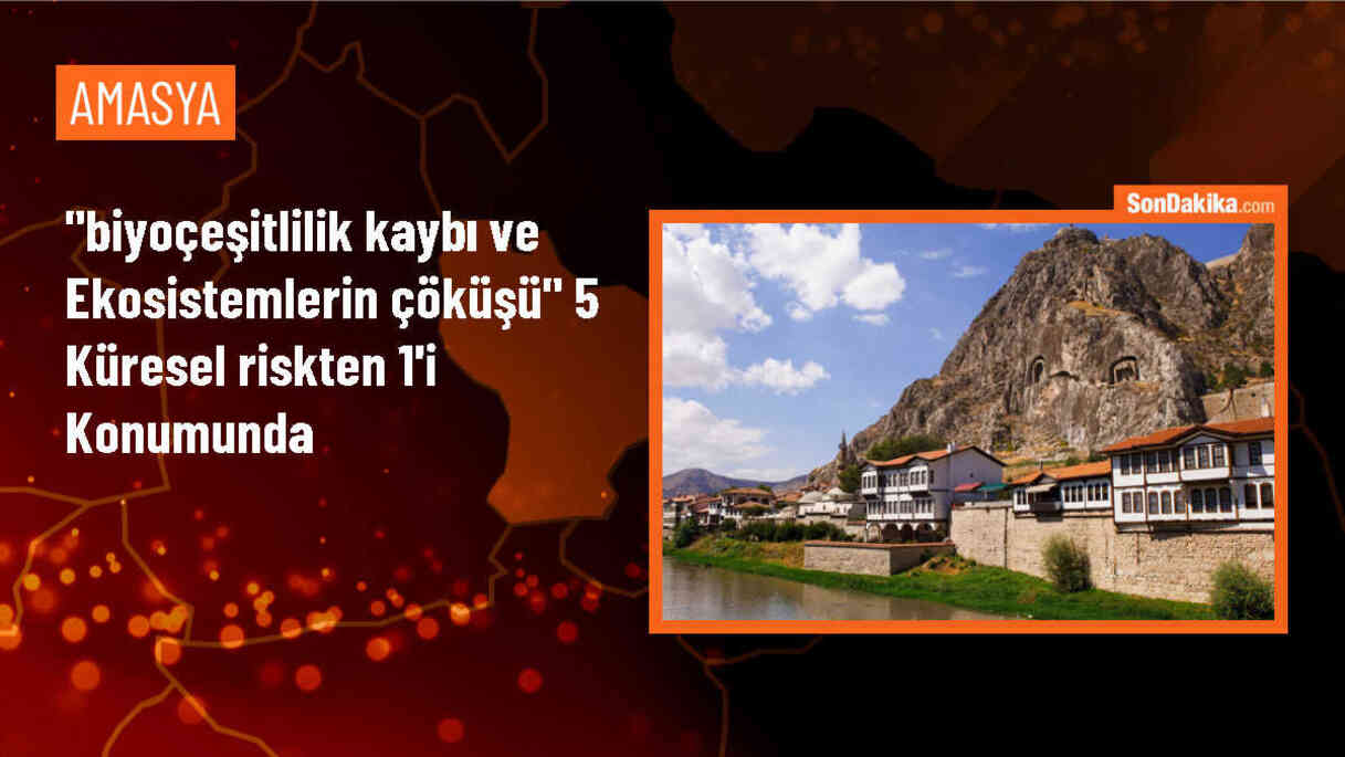 WWF-Türkiye: Biyoçeşitlilik Kaybı ve Ekosistemlerin Çöküşü Küresel Riskler Arasında