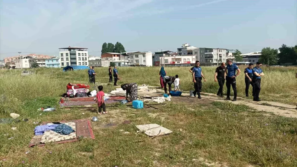 Osmangazi Belediyesi, göçebe çadırlarını ve başıboş atları topladı