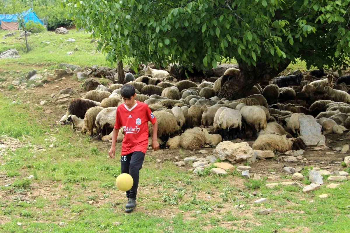 Şırnaklı Çobanın Futbol Yeteneği Keşfedilmeyi Bekliyor