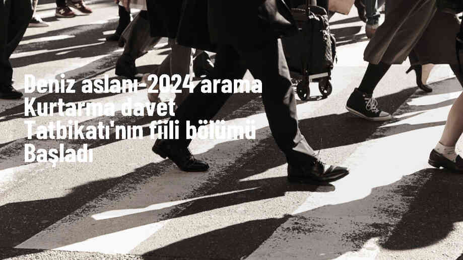 Deniz Aslanı-2024 Arama Kurtarma Tatbikatı Başladı