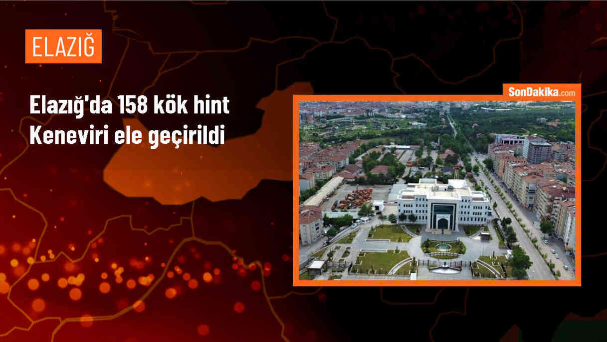 Elazığ\'da 158 kök Hint keneviri ele geçirildi, 1 şüpheli gözaltına alındı