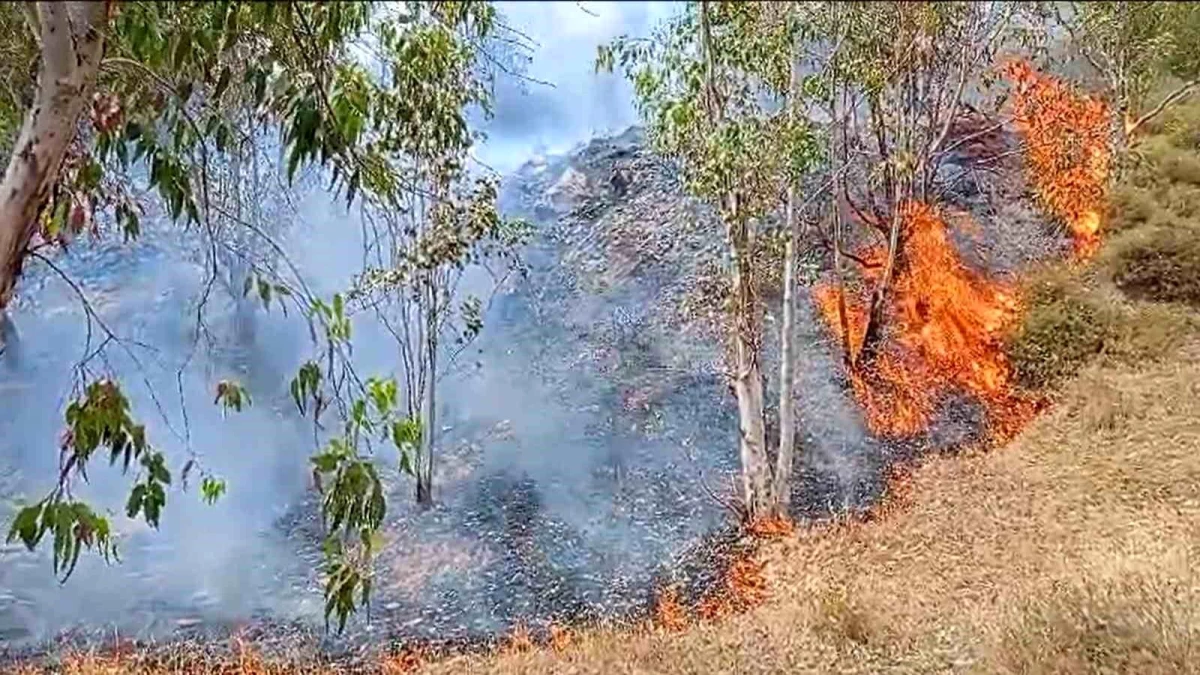 İzmir Karşıyaka\'da Orman Yangını Kontrol Altına Alındı