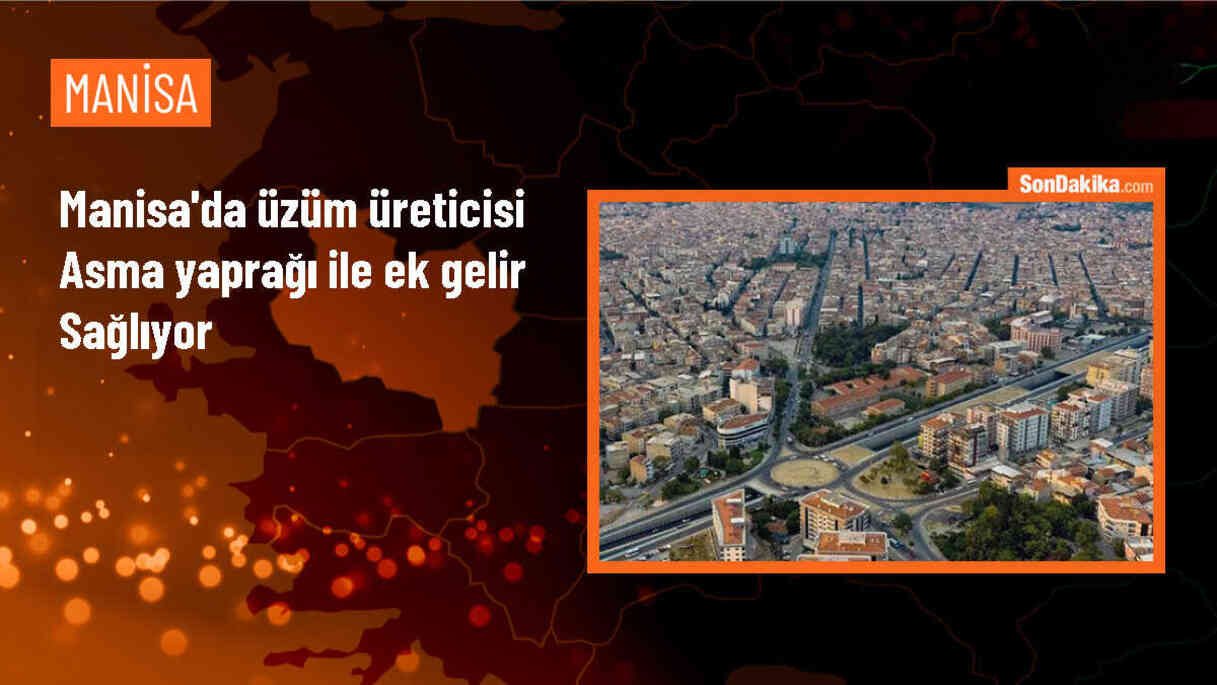 Manisa\'da Üzüm Yapraklarından Ek Gelir