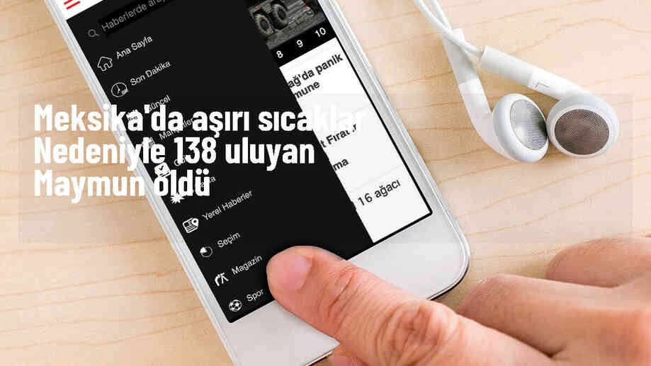 Meksika\'da aşırı sıcaklar nedeniyle 138 uluyan maymun öldü