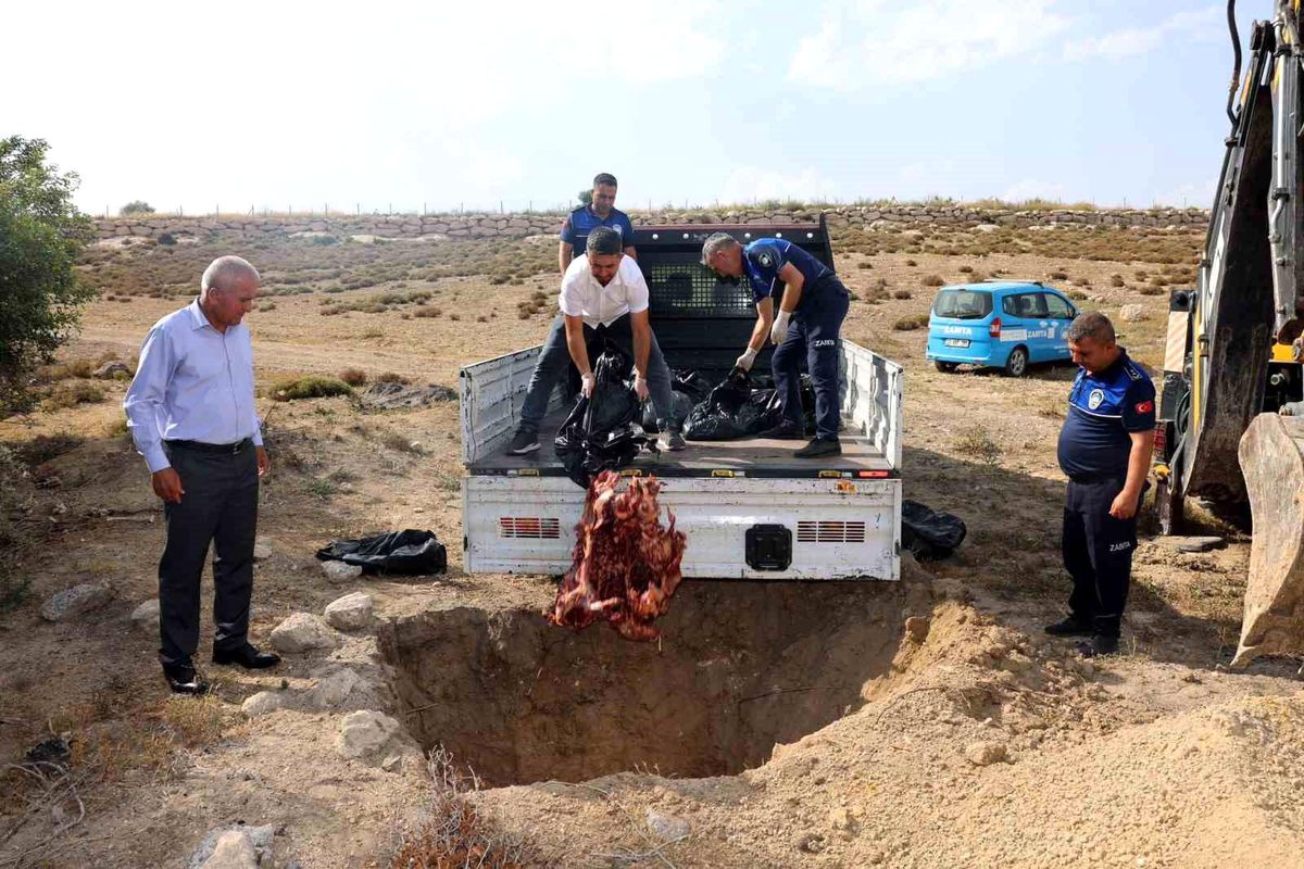 Mersin\'de Menşei Belirsiz 500 Kilogram Et İmha Edildi