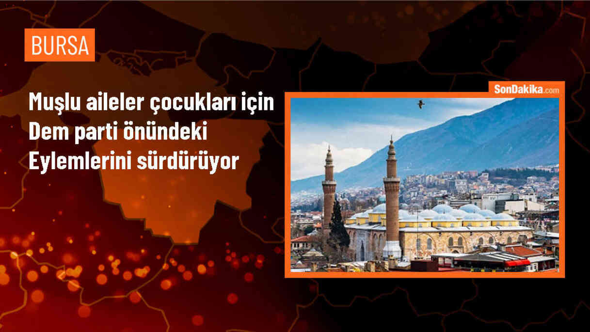 Muş\'ta aileler, çocuklarının dağa götürülmesinden DEM Parti\'yi sorumlu tutuyor