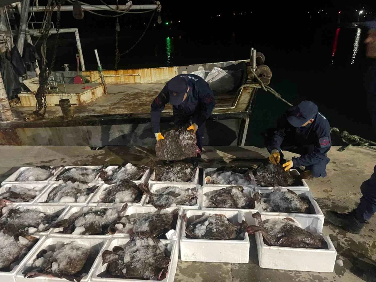 Sinop Sahil Güvenlik Ekipleri 880 Adet Kalkan Balığını Ele Geçirdi