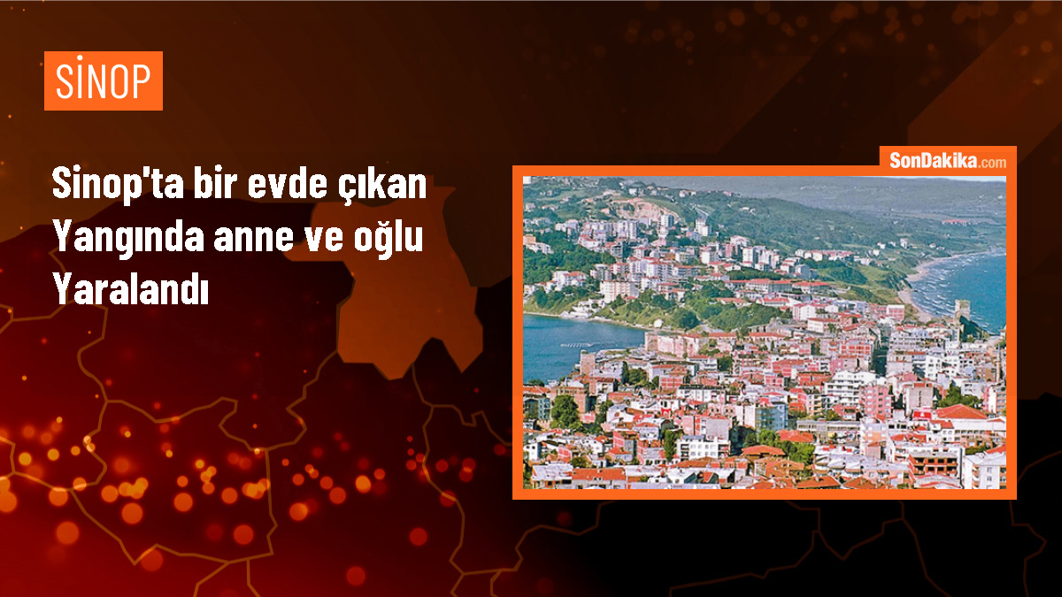 Sinop\'ta çıkan yangında 2 kişi yaralandı