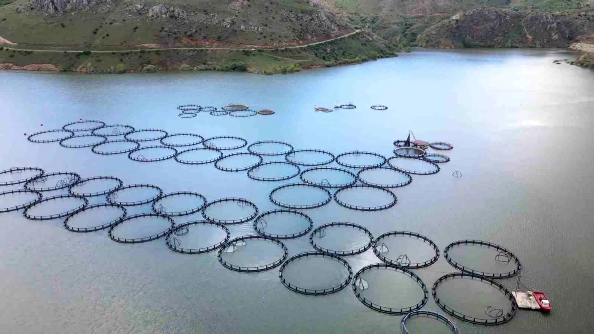 Erzincan\'da Tercan Baraj Gölü\'nde Kafes Balıkçılığı Gelişiyor