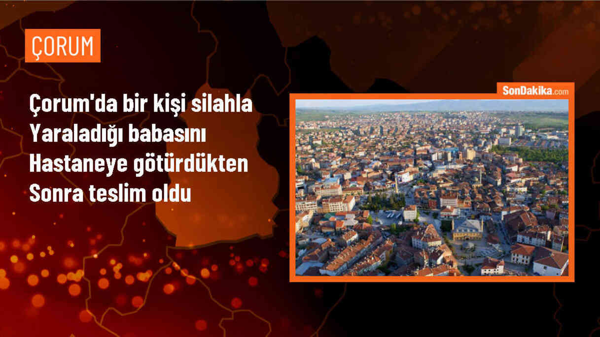 Çorum\'da tabancayla ateş ederek yaraladığı babasını hastaneye götüren kişi jandarmaya teslim oldu