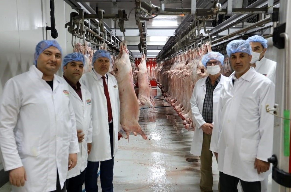 Bilecik\'te kurban bayramı öncesi mezbahalar denetlenmeye başladı