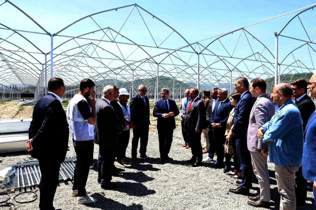 Samsun ve İzmir, yaş meyve sebze sektöründe iş birliği yapıyor