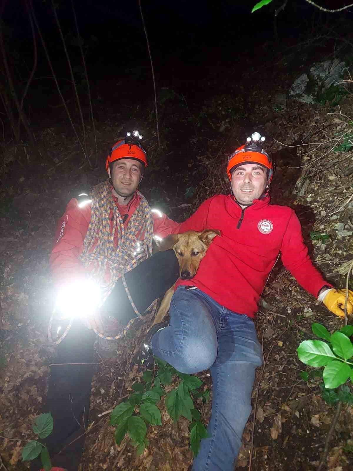 Uludağ\'da mahsur kalan köpek kurtarıldı