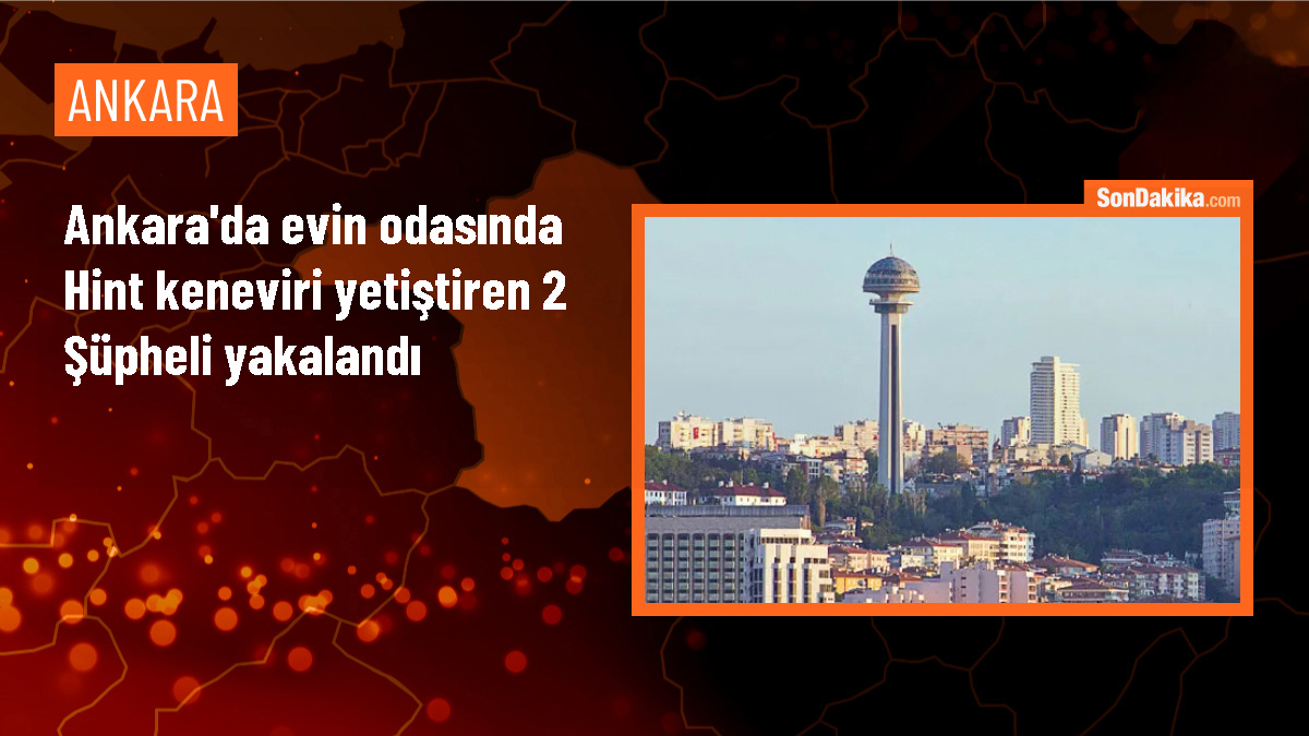 Ankara\'da Hint keneviri yetiştiren şüpheliler gözaltına alındı
