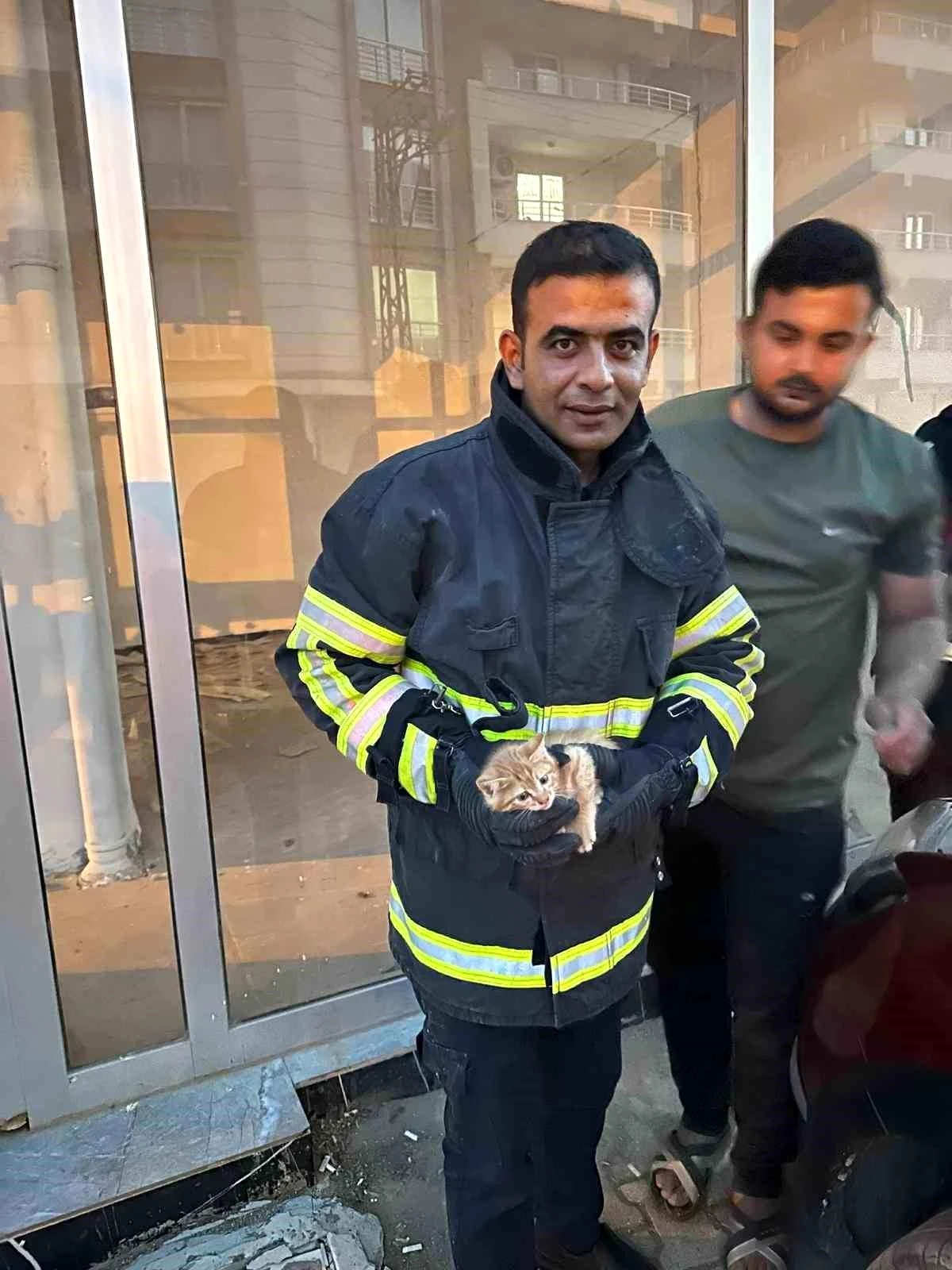 Hatay\'ın Reyhanlı ilçesinde bir aracın motor kısmına sıkışan kedi kurtarıldı