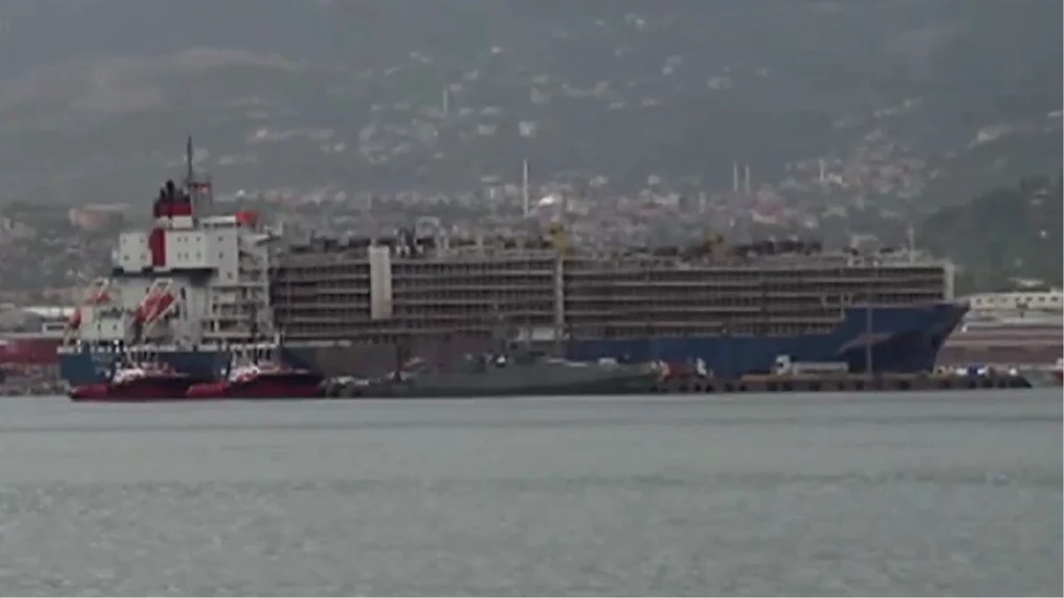 Brezilya\'dan ithal edilen 27 bin angus dev gemiyle Türkiye\'ye getirildi