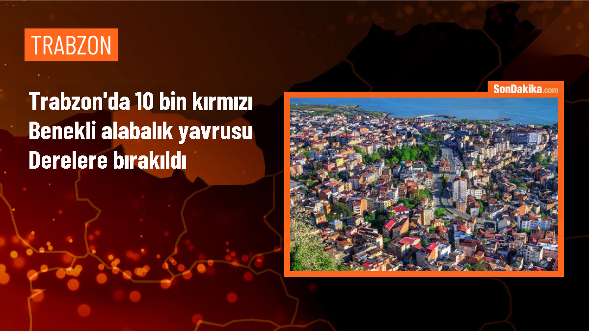 Trabzon\'un Dernekpazarı ilçesinde 10 bin alabalık yavrusu derelere salındı