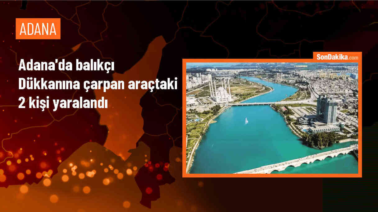 Adana\'da balıkçı dükkanına çarpan araçta 2 kişi yaralandı