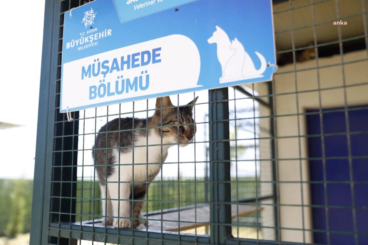 Aydın\'da Evcil Hayvan Bakım ve Rehabilitasyon Merkezi Hizmete Açıldı