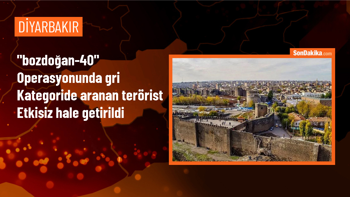 İçişleri Bakanı: Diyarbakır Lice\'de terör eylemlerinin faili etkisiz hale getirildi