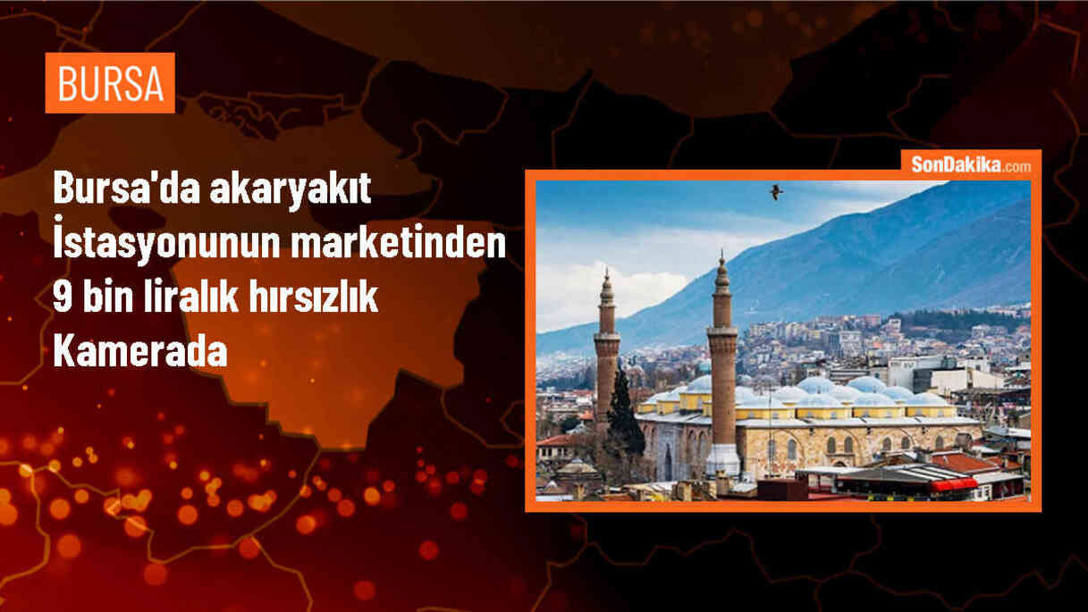 Gemlik\'te akaryakıt istasyonunda hırsızlık şüphelisi tutuklandı