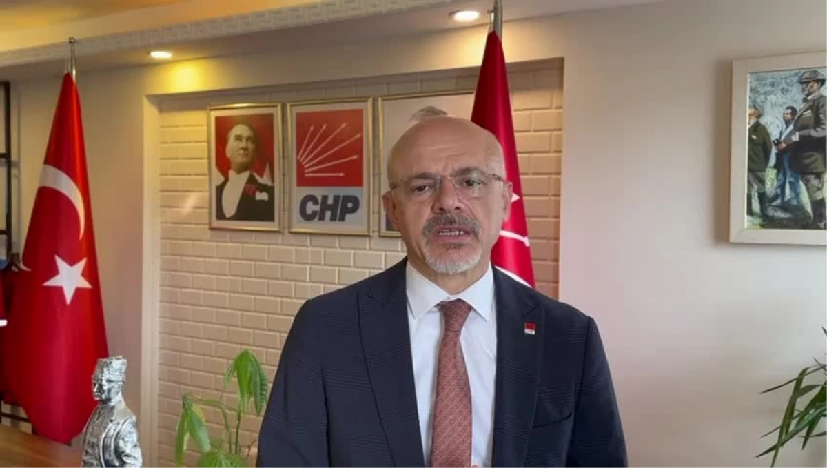 CHP Samsun İl Başkanı: Çözüm Patili Dostlarımızı Katletmek Değil, Kısırlaştırmaktır