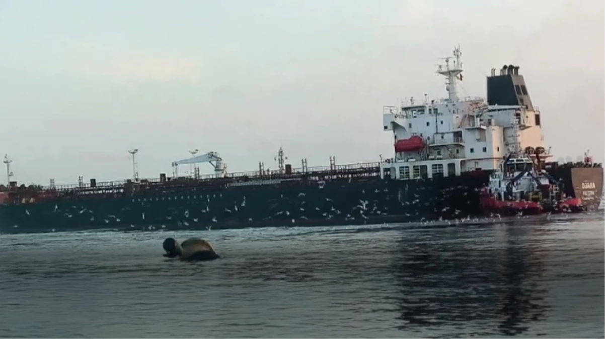 İstanbul Boğazı\'nda "Osaka" alarmı! 40 bin ton petrol taşıyan tanker dümen arızası nedeniyle sürüklendi