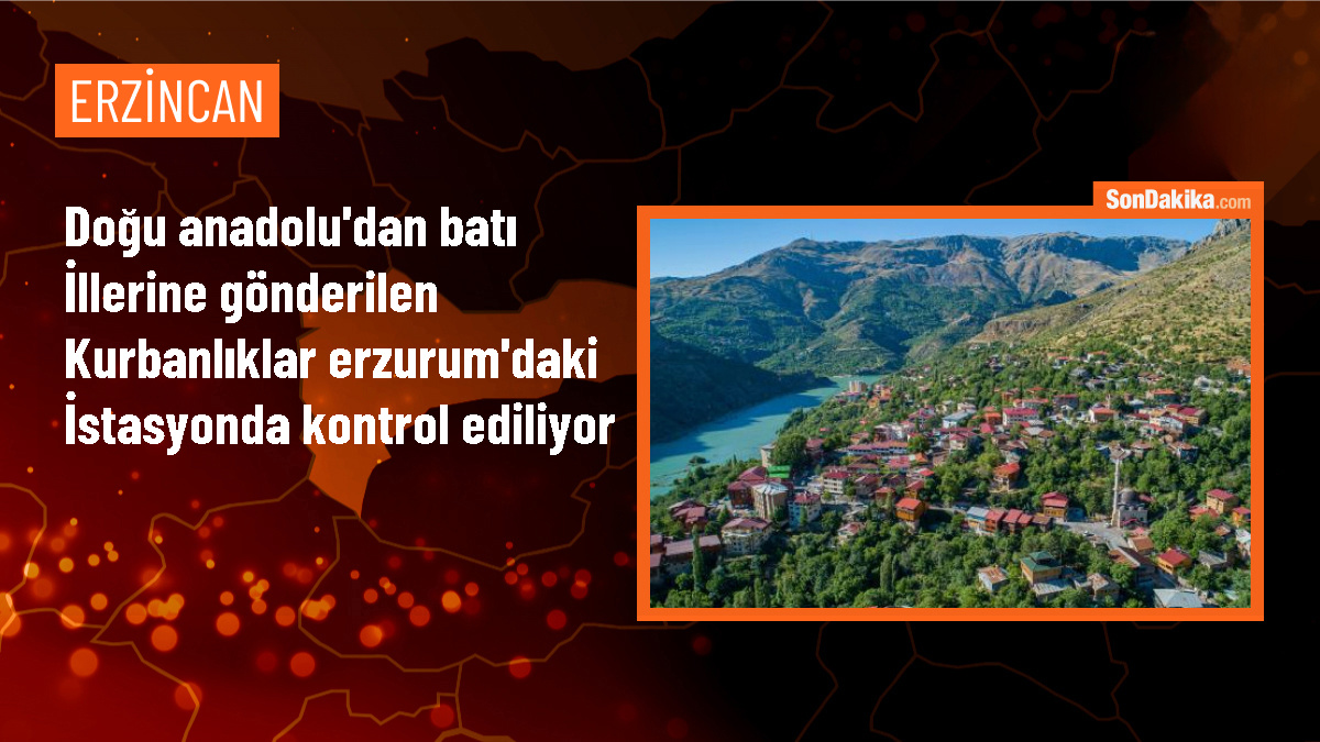 Erzurum\'da Veteriner Yol Kontrol İstasyonu Kurbanlık Hayvan Denetimlerini Yapıyor