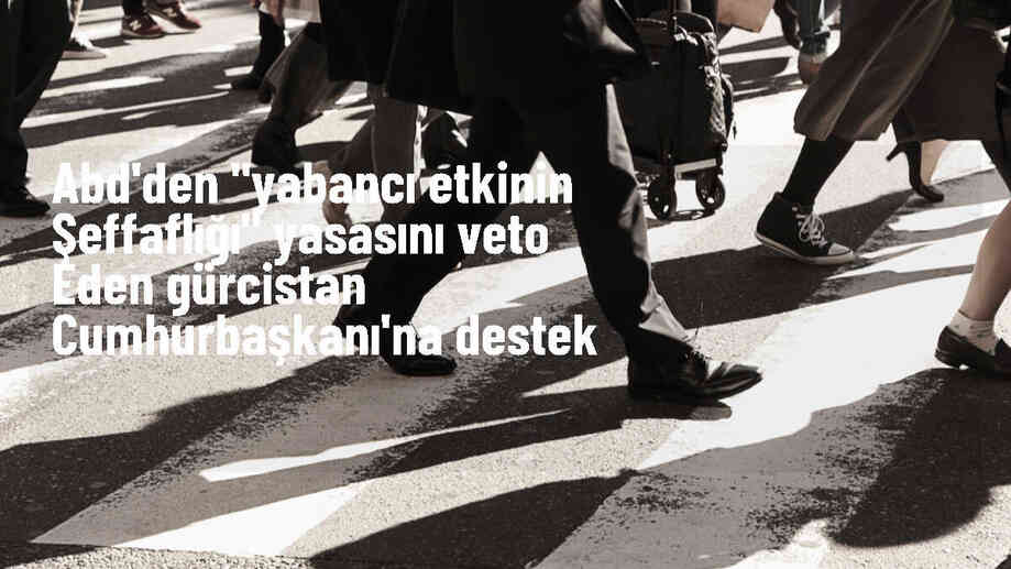 ABD Başkan Yardımcısı Kamala Harris, Gürcistan Cumhurbaşkanı\'nı destekledi