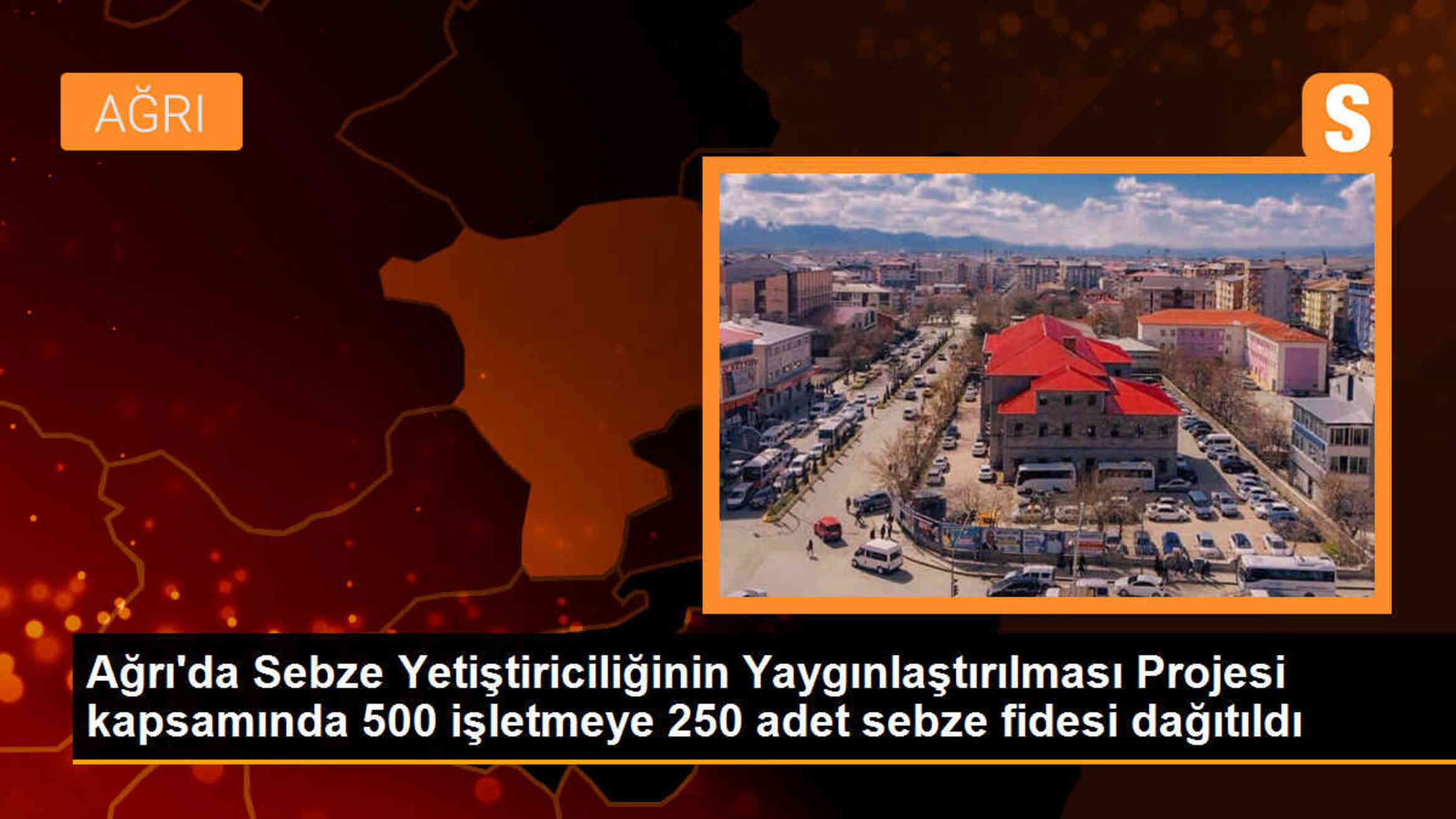 Ağrı\'da Sebze Yetiştiriciliğinin Yaygınlaştırılması Projesi kapsamında 500 işletmeye 250 adet sebze fidesi dağıtıldı