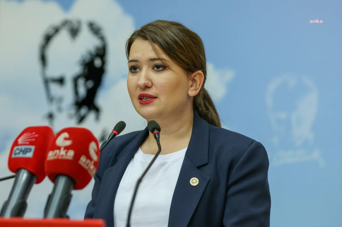 CHP Genel Başkan Yardımcısı Gökçe Gökçen\'den Anayasa Açıklaması