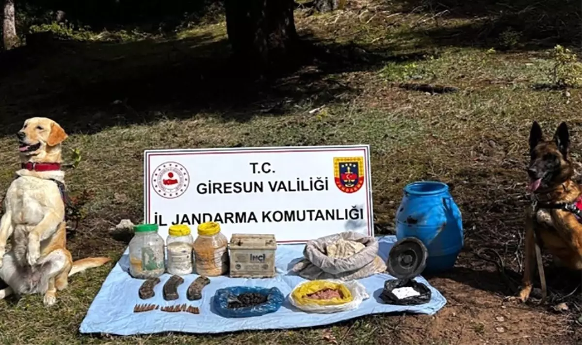 Giresun İl Jandarma Komutanlığı operasyonunda terör örgütüne ait mühimmat ele geçirildi