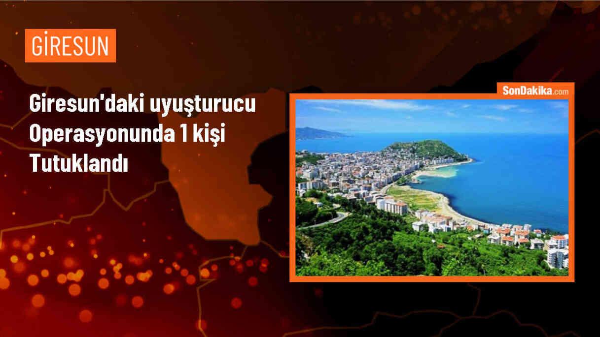 Giresun\'daki uyuşturucu operasyonunda 1 kişi tutuklandı