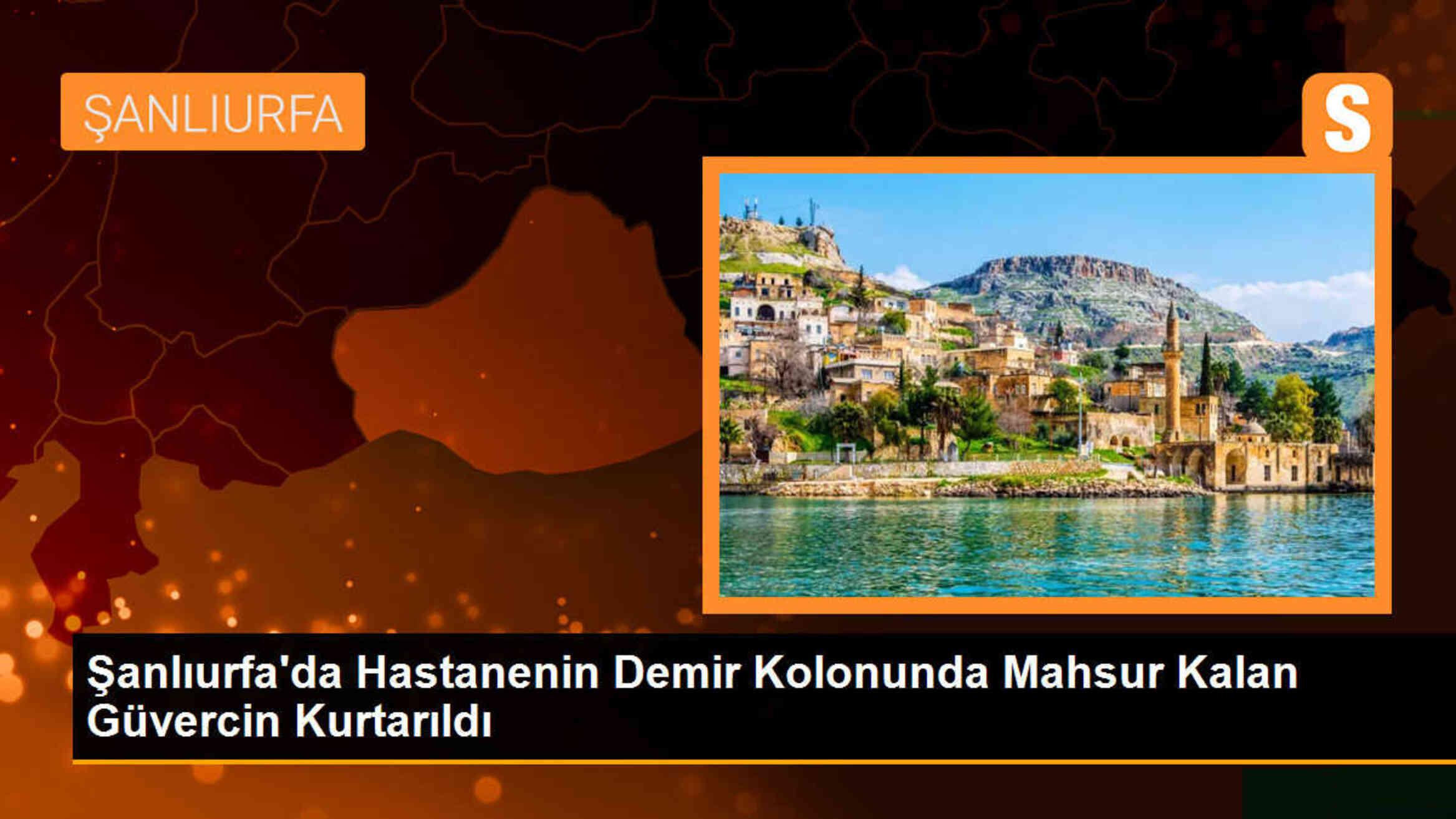 Şanlıurfa\'da Hastanenin Demir Kolonunda Mahsur Kalan Güvercin İtfaiye Tarafından Kurtarıldı
