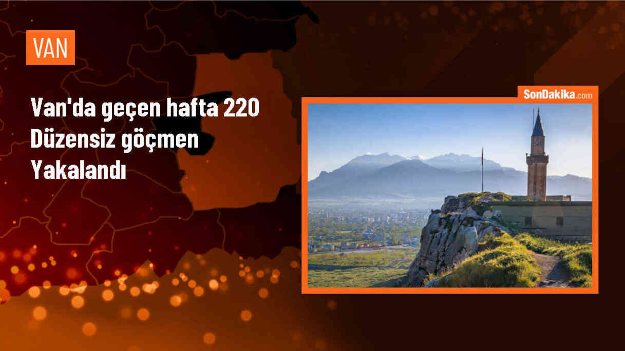 Van\'da düzenlenen operasyonlarda 220 düzensiz göçmen yakalandı