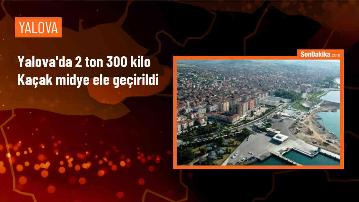 Yalova\'da 2 Ton 300 Kilo Kaçak Midye Ele Geçirildi