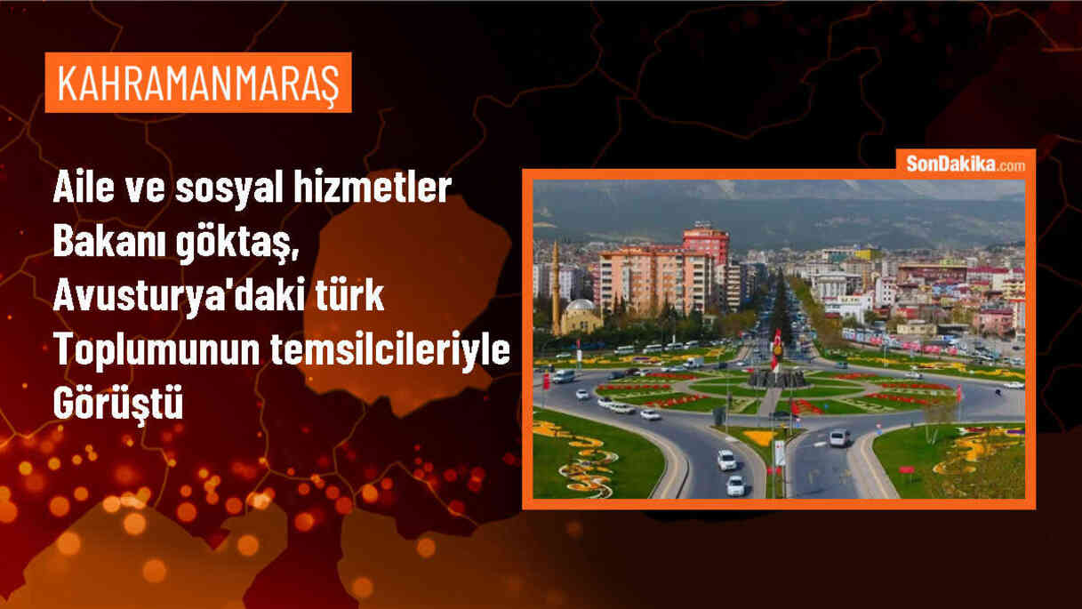 Aile ve Sosyal Hizmetler Bakanı Mahinur Özdemir Göktaş, Türk toplumu temsilcileriyle Viyana\'da bir araya geldi