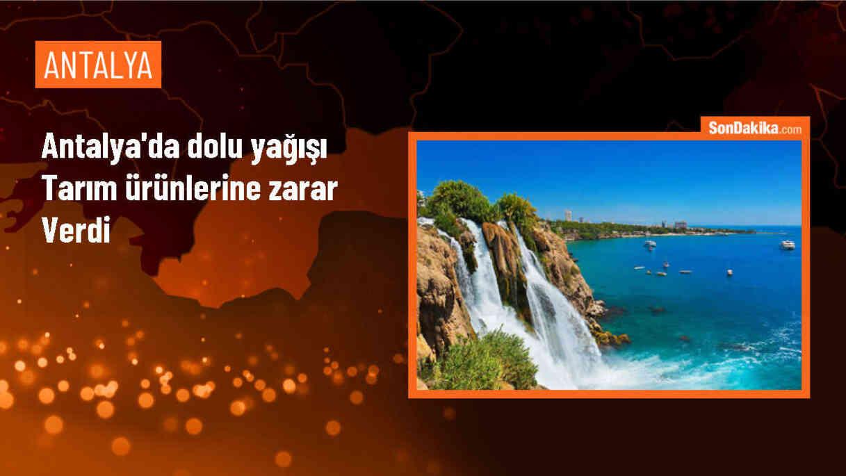 Antalya Serik\'te Dolu Yağışı Tarım Ürünlerine Zarar Verdi