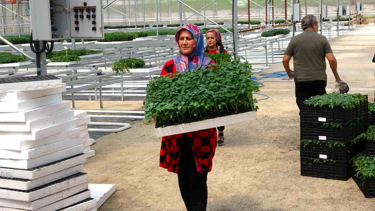 Yozgat\'ta Modern Sera Kuruldu: Yılda 20 Milyon Fide Üretimi ve İstihdam Sağlanıyor